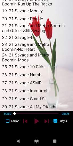 21 Savage Popular Songs Offline screenshot 2