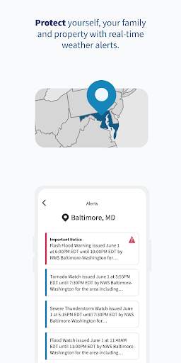 FEMA screenshot 4