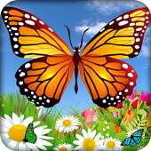 Dubai Butterfly Garden 360View 1.0