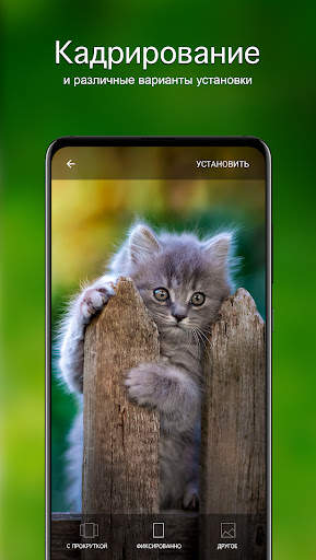 Обои котята | Котики от 7Fon скриншот 4