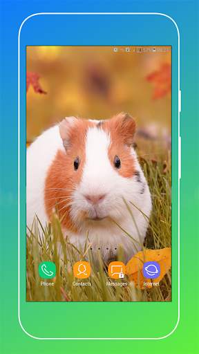 Guinea Pig Wallpaper screenshot 3