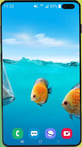 Fish Wallpaper HD screenshot 2