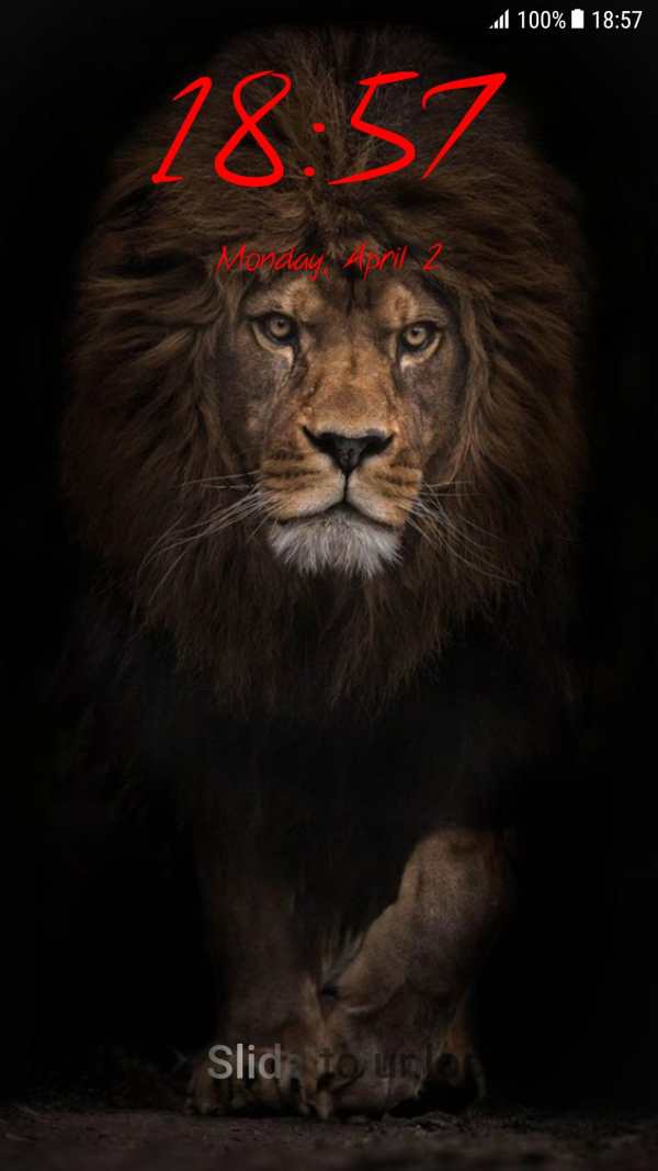 Lion Pattern Lock Screen screenshot 3