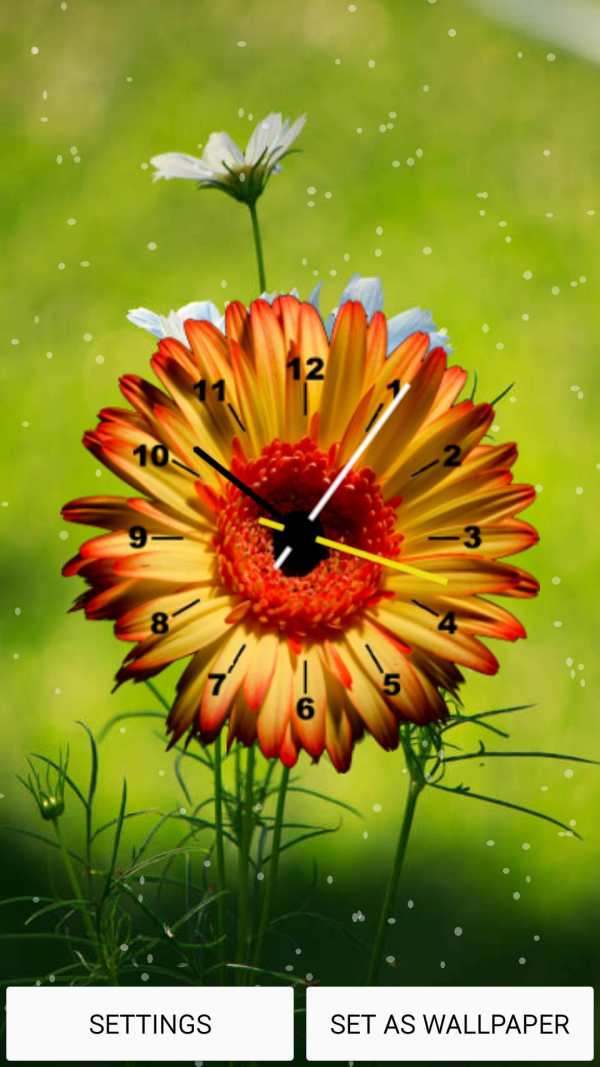 Flowers Clock Live Wallpaper screenshot 5