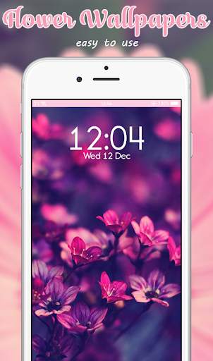 Flower Wallpapers and Backgrounds screenshot 7