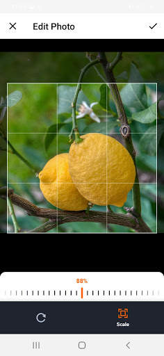 Veggie Garden Planner screenshot 7