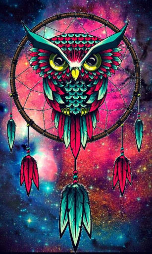 Funny Owl Wallpaper screenshot 10