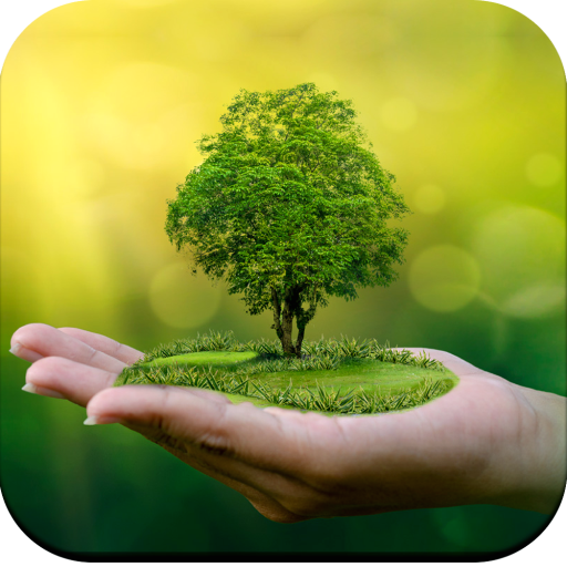 Bonsai Tree Wallpaper HD иконка