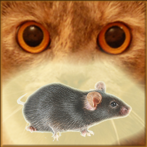 Mouse on the Screen for a Cat आइकन