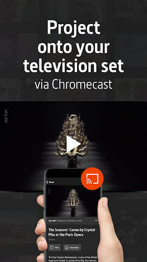 ARTE screenshot 5