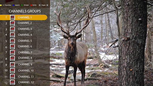 Elk Player screenshot 2