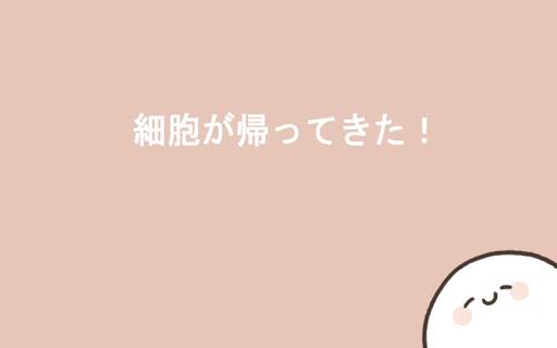 細胞と私49日、 screenshot 1