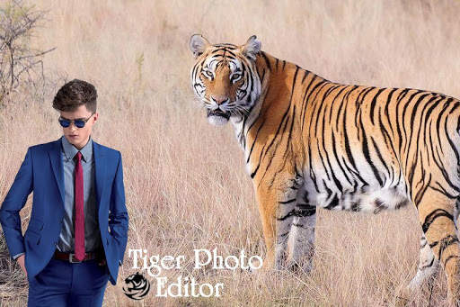 Tiger photo frames 2 تصوير الشاشة