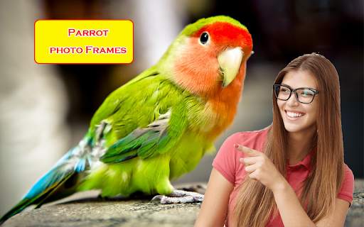 Parrot Photo Frames screenshot 8