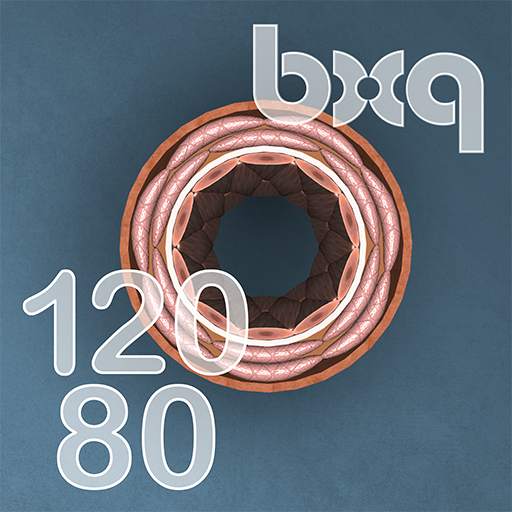 bodyxq my blood pressure 1.1