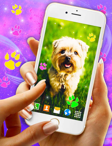 Cute Puppy Live Wallpaper 🐶 Dog Paws Wallpapers screenshot 5