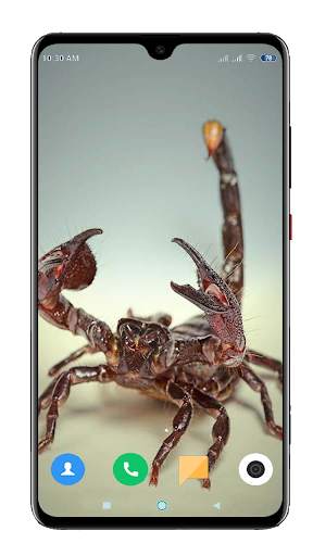 Scorpion Wallpaper screenshot 14