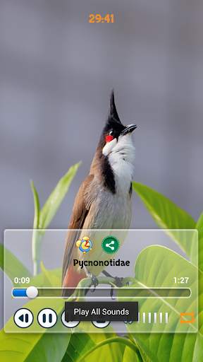 Birds Calls Sounds - Relaxing स्क्रीनशॉट 5