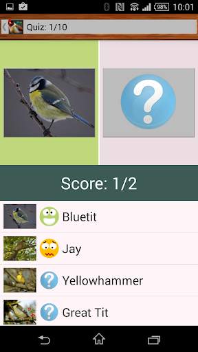 Birdquiz Free screenshot 4