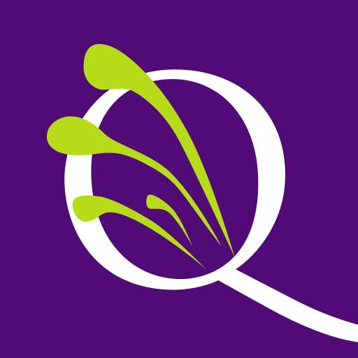 QuiAri 4.07