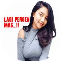 Stiker Cwe Montok Buat WA logo