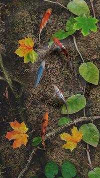 Water Koi Fish Pond LWP screenshot 7