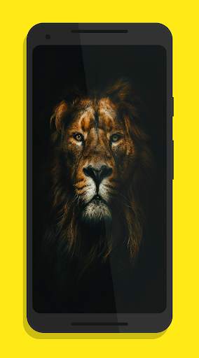 HD Wallpaper screenshot 3