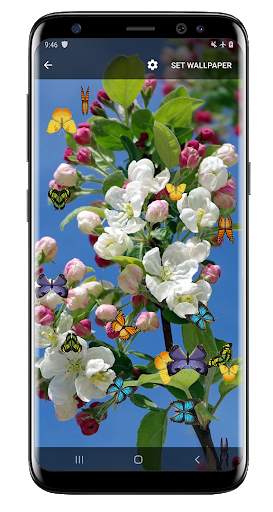 Butterfly and Blossom live wallpaper screenshot 6