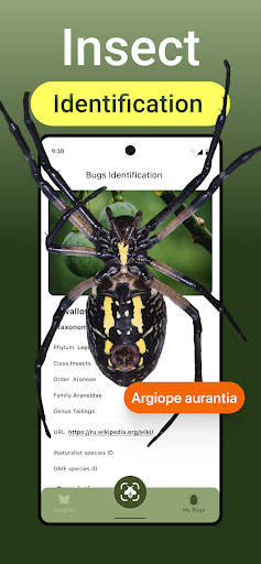 Insect Bug Identifier App screenshot 1