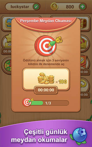 Tile Clash : Blok Puzzle Oyunu screenshot 8