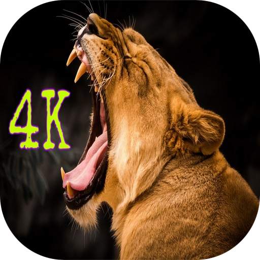 Wild Animal Wallpapers HD 3.6