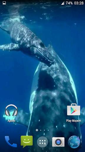 Whale 3D. Video wallpaper screenshot 5