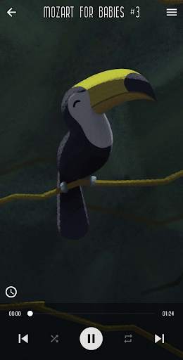 Lullaby Songs for Babies screenshot 7