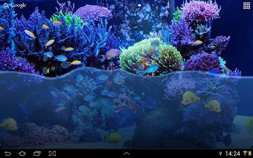 Fish Tank Live Wallpaper screenshot 4