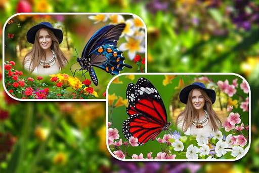 Butterfly Photo Frames 1 تصوير الشاشة