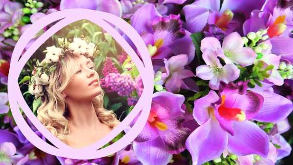 Flowers Photo Frames screenshot 5