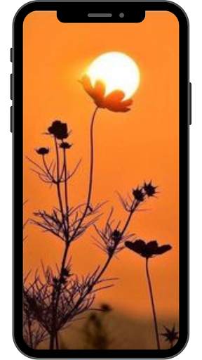 Sunset Wallpaper for Android 4K HD screenshot 5