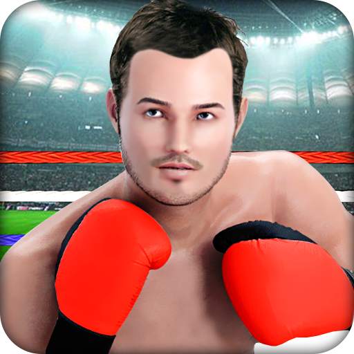 Punch Boxing Fighting Crush 3D 1.3