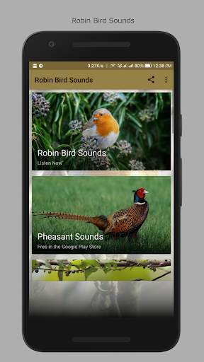 Robin Bird Sounds screenshot 1