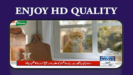 Pakistan News TV screenshot 1