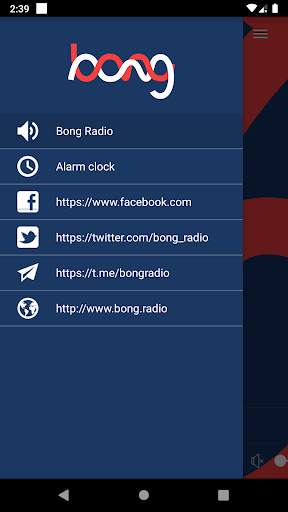 Bong Radio screenshot 2
