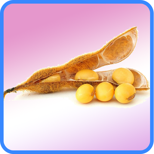 Soybean Recipes: Soybean diet, Soybean pasta icon
