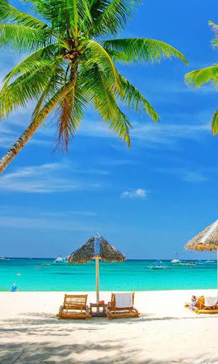 Summer Live Wallpaper screenshot 1