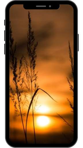 Sunset Wallpaper for Android 4K HD screenshot 8