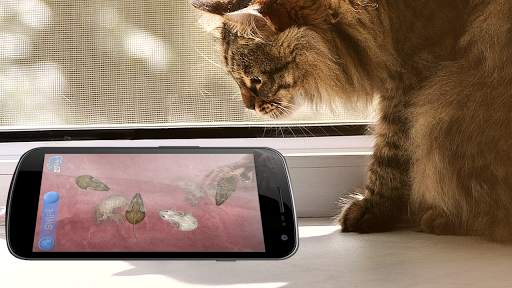 Game for cats Mouse screenshot 2