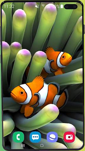 Fish Wallpaper HD screenshot 1