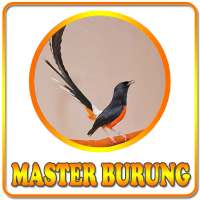 Kicau Master Burung on 9Apps