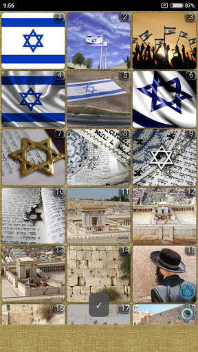 Israel WVGA Wallpaper screenshot 2