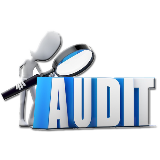 Learn Auditing icon