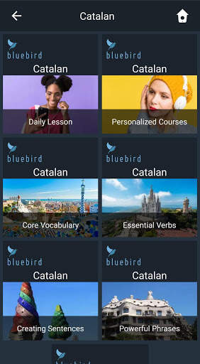 Learn Catalan. Speak Catalan. Study Catalan. screenshot 1
